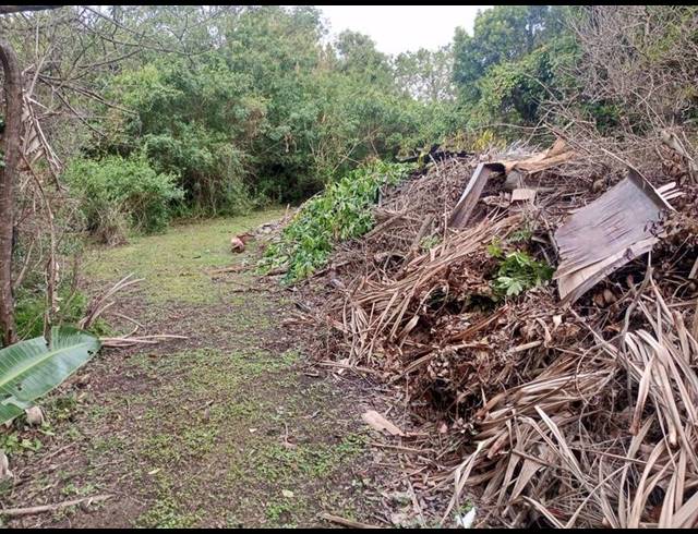 FARM FOR SALE IN RAMSGATE